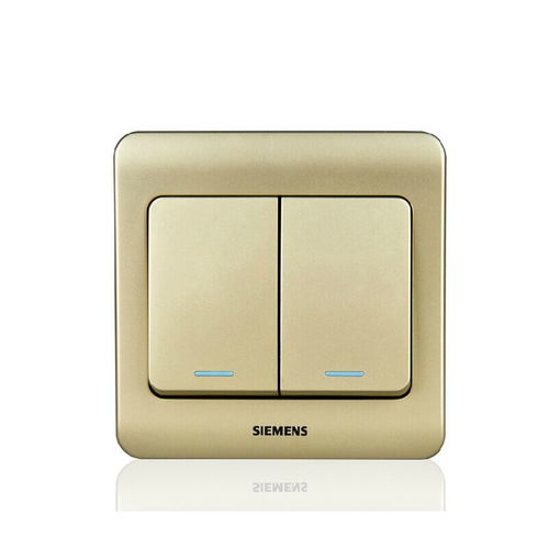 西門子遠(yuǎn)景金棕 二位單控大蹺板開關(guān) 帶熒光指示